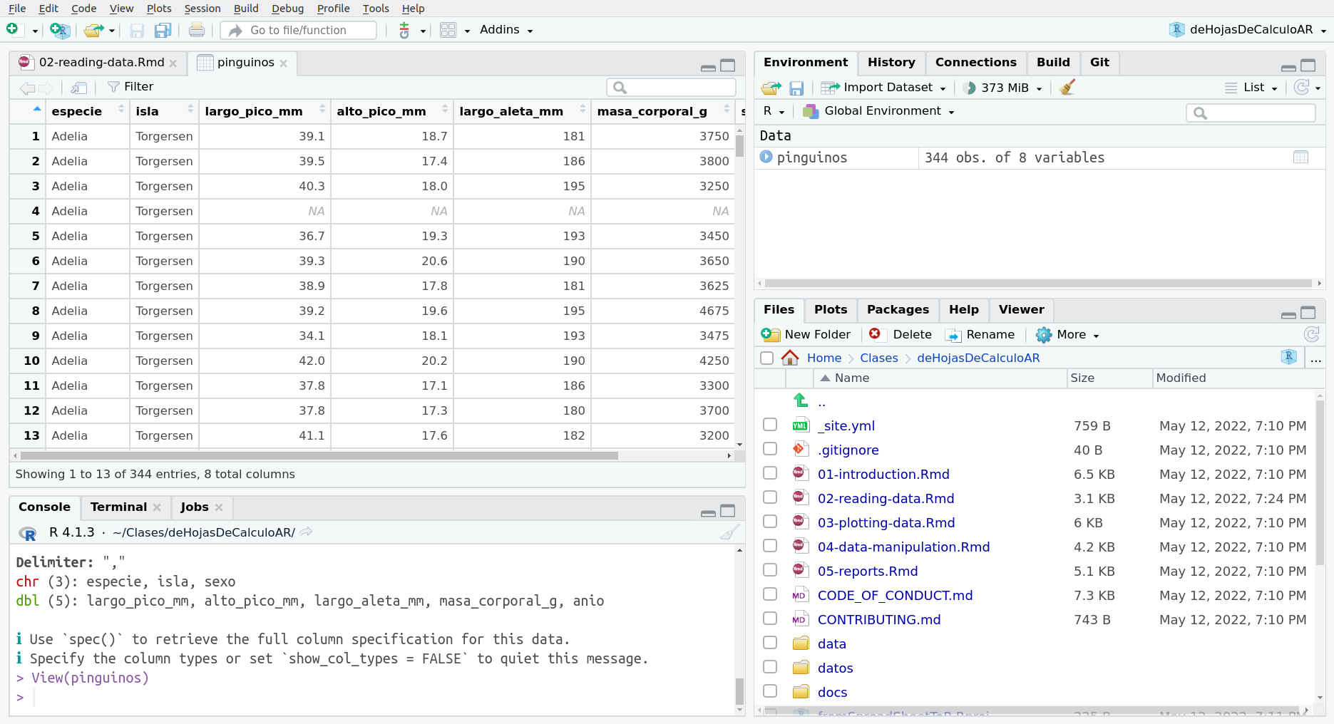 La pestaña de visualización del data.frame con los datos de pinguinos luego de llamar a la función View()
