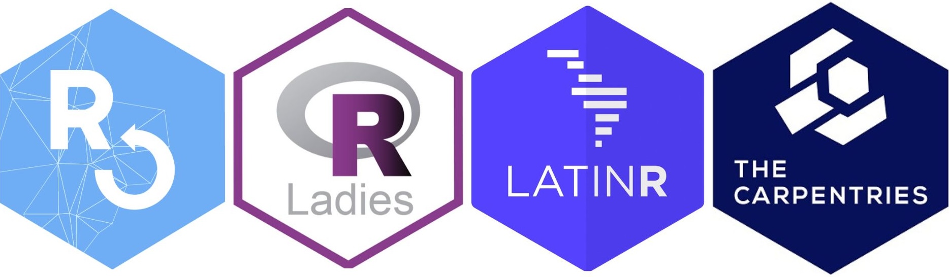 rOpenSci, R-Ladies, LatinR and The Carpentries