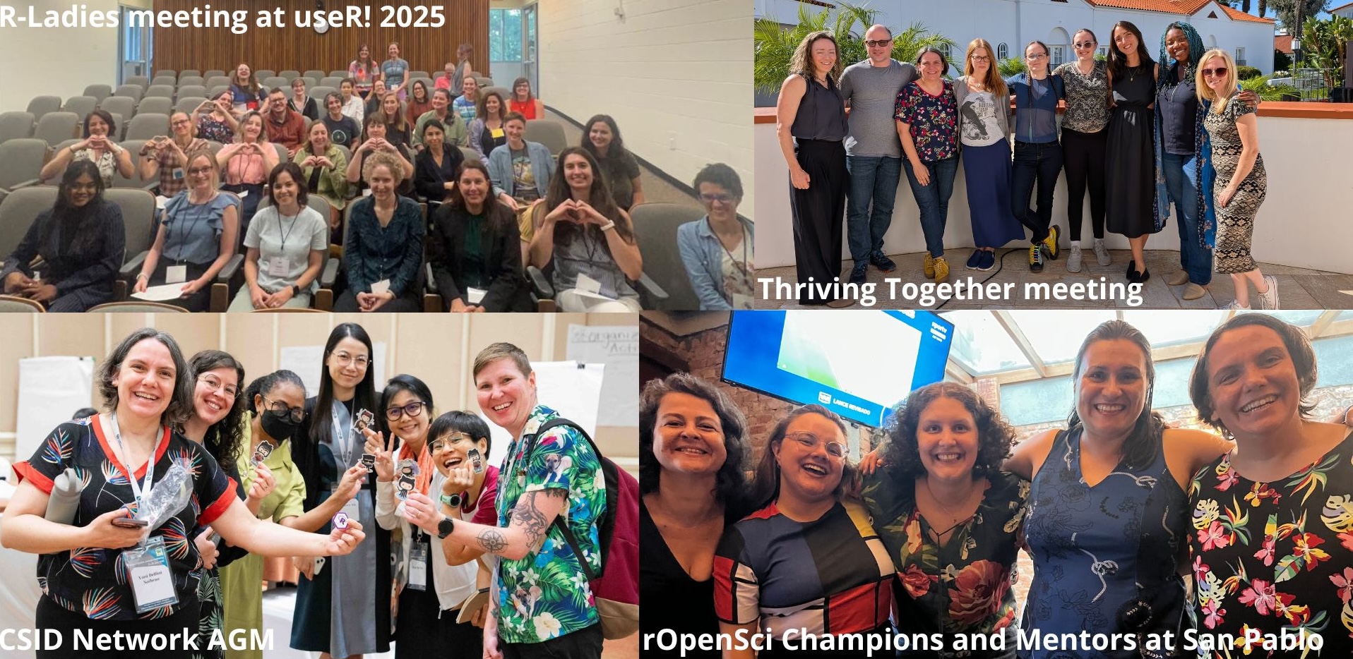 R-Ladies meeting at useR! 2025, Thriving Together meeting, CSIDNet AGM group photo, rOpenSci Champions Program participant in San Pablo